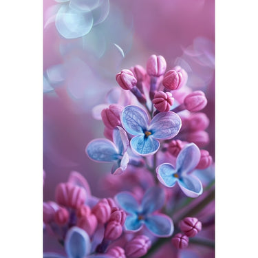 Lilac Flower Painting